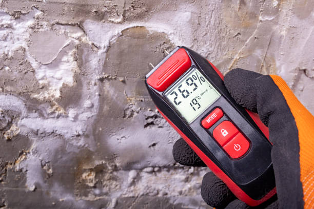 Best Mold Testing and Removal  in Long Grove, IA
